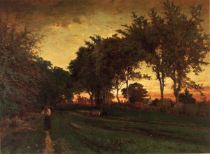 Evening Landscape